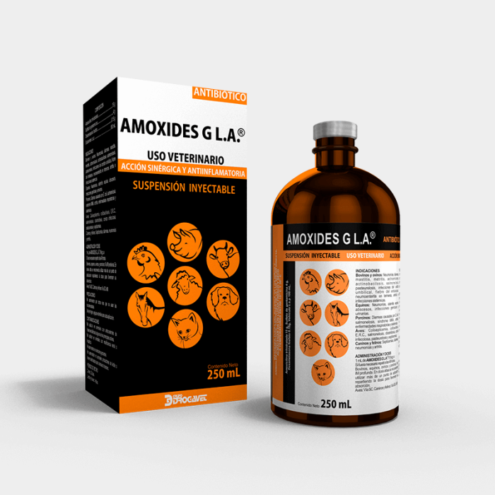 AMOXIDES G L.A. - Imagen 5