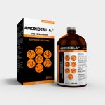 AMOXIDES L.A. - Imagen 7