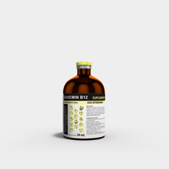 BANEMIN B12 - Imagen 8