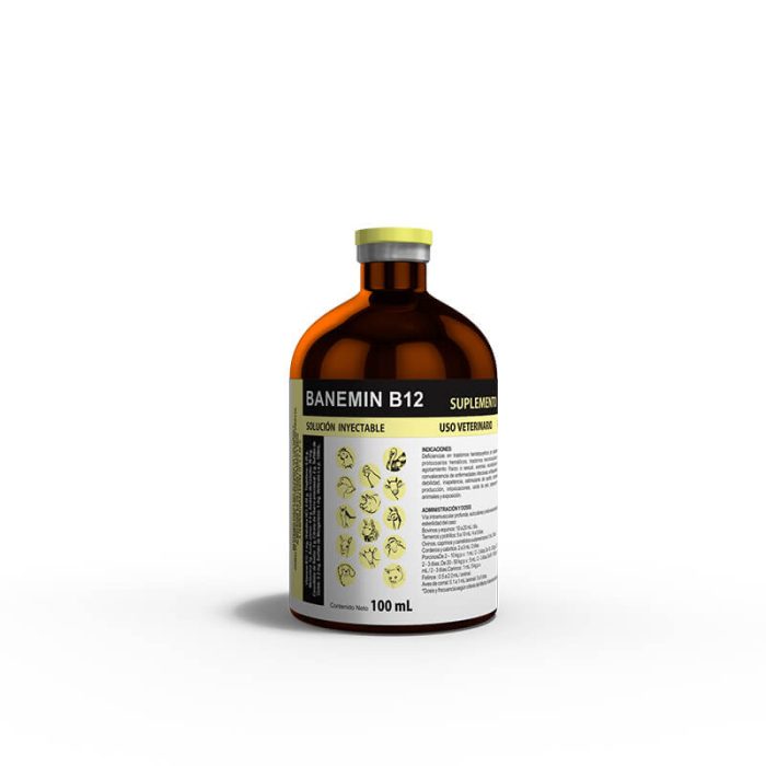 BANEMIN B12 - Imagen 6
