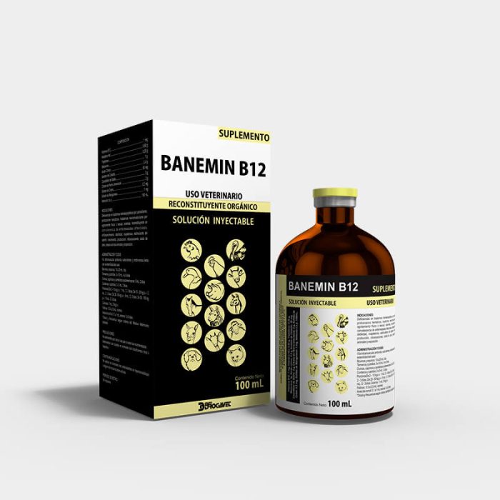 BANEMIN B12 - Imagen 5