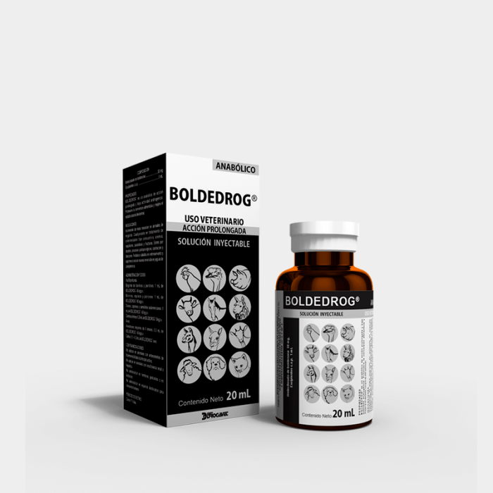 BOLDEDROG - Imagen 11