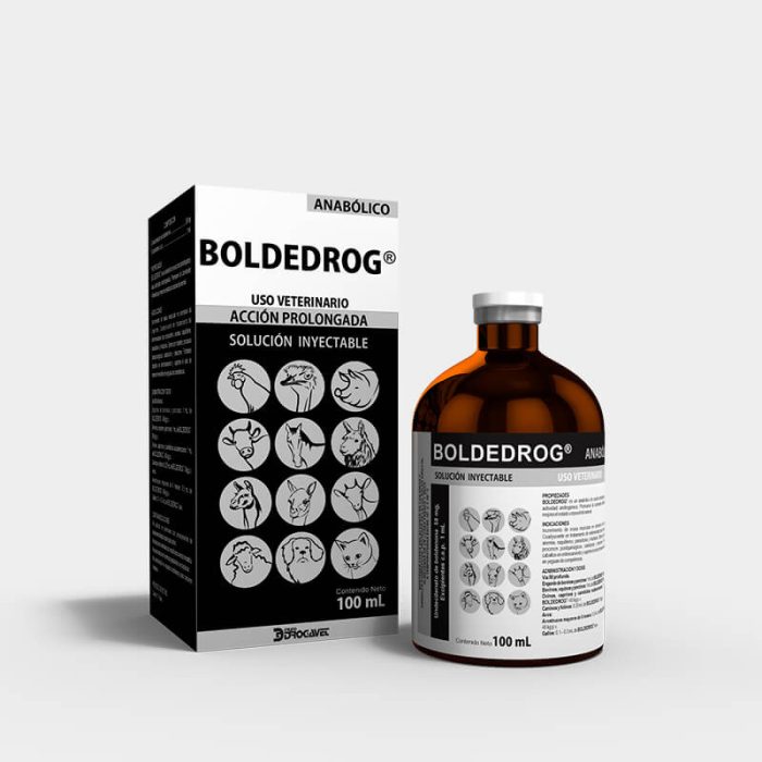 BOLDEDROG - Imagen 7