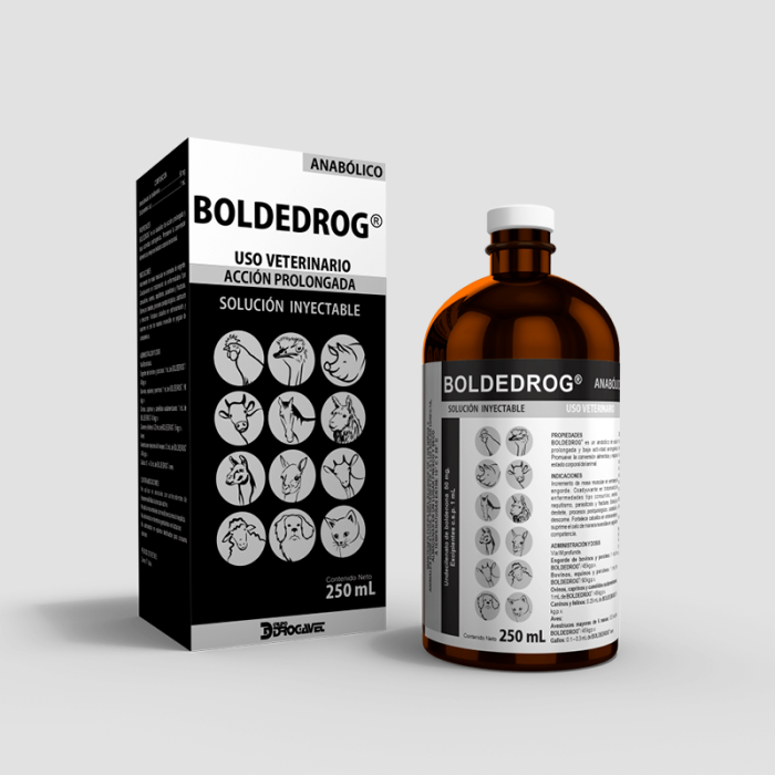 BOLDEDROG - Imagen 5