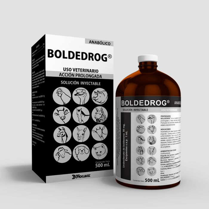 BOLDEDROG - Imagen 3