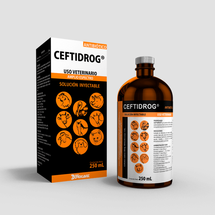 CEFTIDROG - Image 5