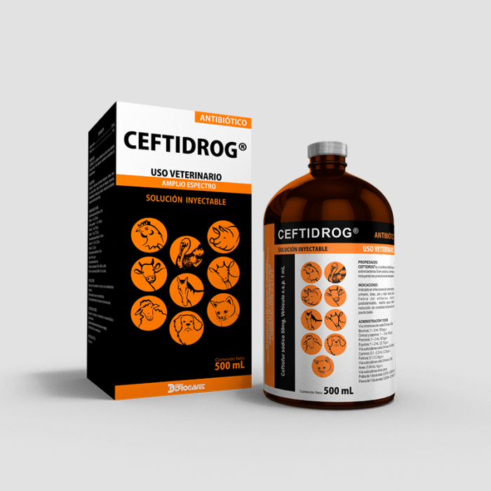 CEFTIDROG - Image 3