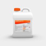 CORIPLUS S.O. - Image 8