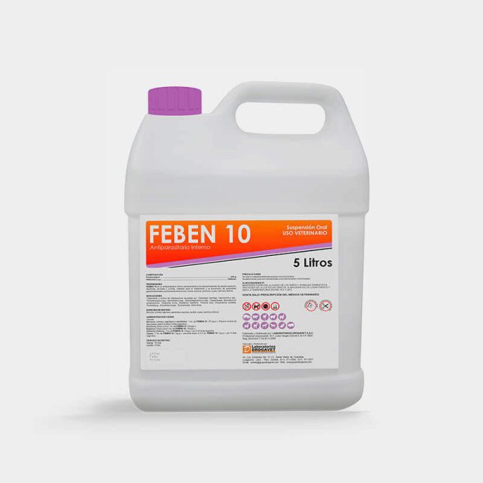 FEBEN 10 - Imagen 9