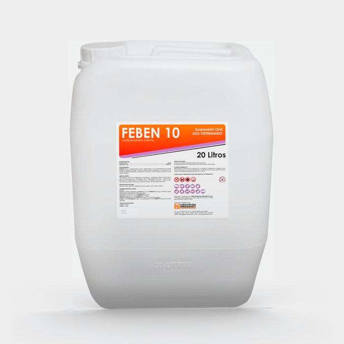 FEBEN 10 - Imagen 10