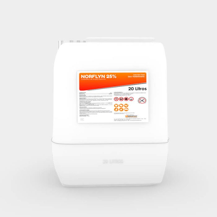 NORFLYN 25 - Imagen 2