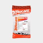 RANDROG PIG - Imagen 9