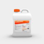 TILMICODROG - Image 4