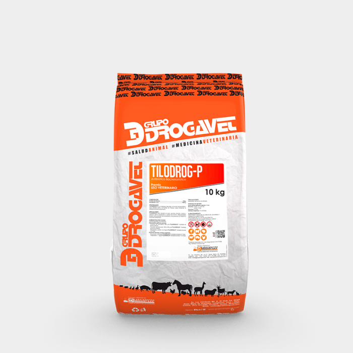 TILODROG P - Image 7