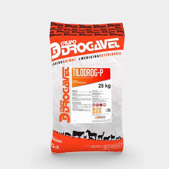 TILODROG P - Image 4