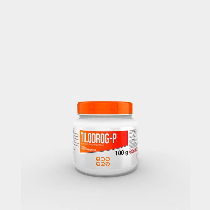 TILODROG P - Image 2