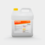 VITAES - Imagen 5