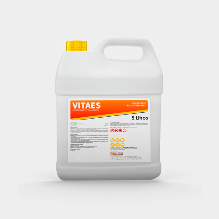 VITAES - Imagen 5